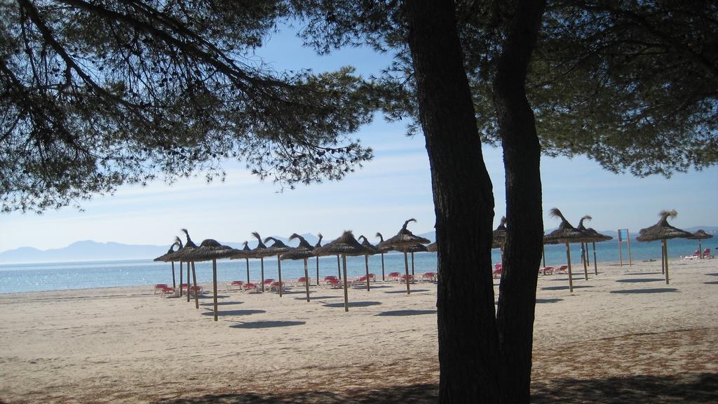 Beach Apartment Minerva Port de Alcudia  Kamer foto